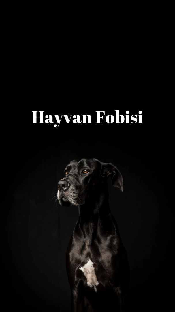 Hayvan Fobisi