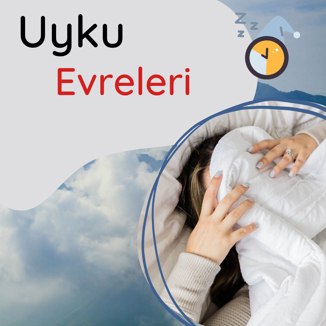 Uykunun Evreleri